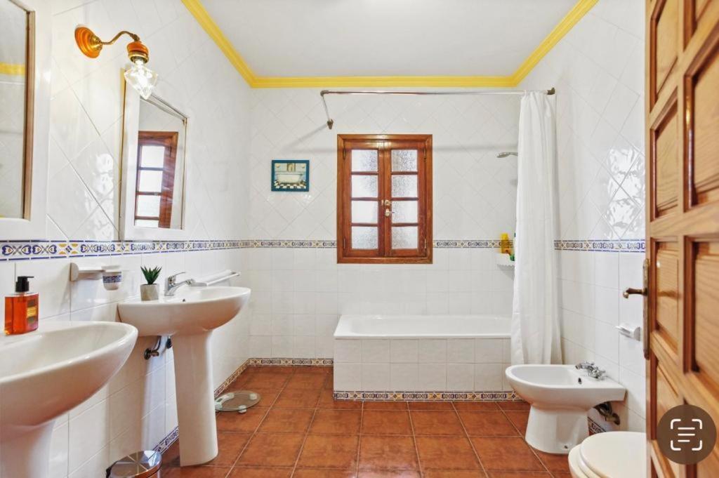 Villa Aventura Parque Holandes المظهر الخارجي الصورة